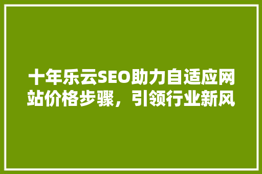 十年乐云SEO助力自适应网站价格步骤，引领行业新风向