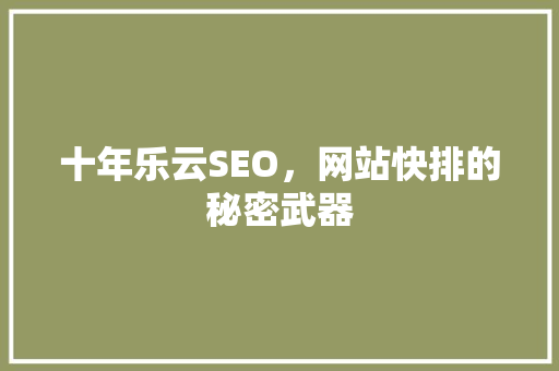 十年乐云SEO，网站快排的秘密武器