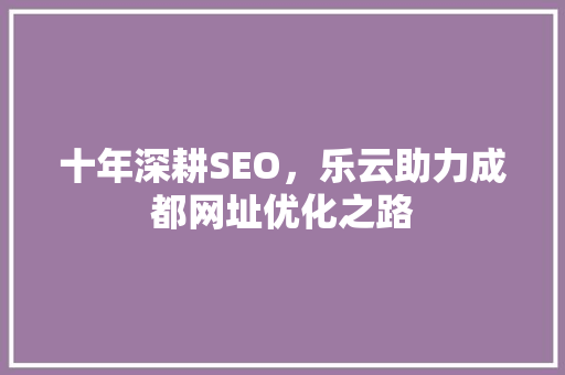 十年深耕SEO，乐云助力成都网址优化之路