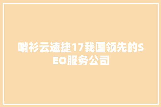 啃衫云速捷17我国领先的SEO服务公司