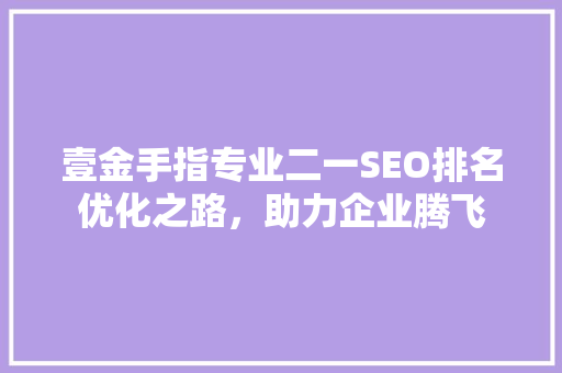 壹金手指专业二一SEO排名优化之路，助力企业腾飞