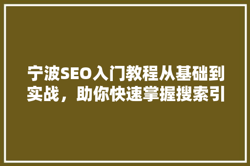 宁波SEO入门教程从基础到实战，助你快速掌握搜索引擎优化方法