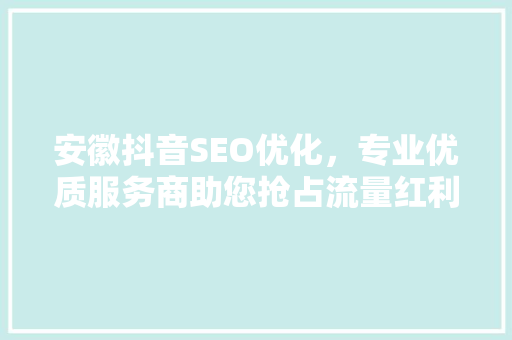 安徽抖音SEO优化，专业优质服务商助您抢占流量红利