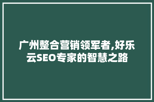 广州整合营销领军者,好乐云SEO专家的智慧之路
