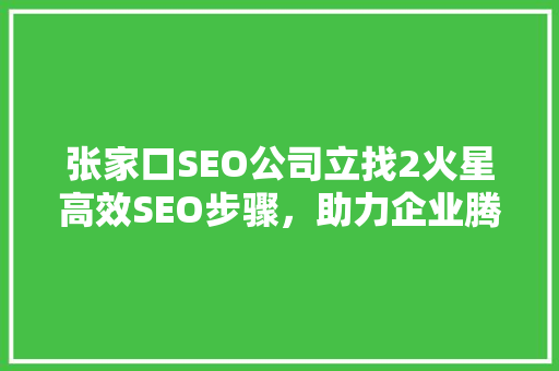 张家口SEO公司立找2火星高效SEO步骤，助力企业腾飞