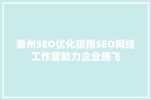 惠州SEO优化狼雨SEO网络工作室助力企业腾飞