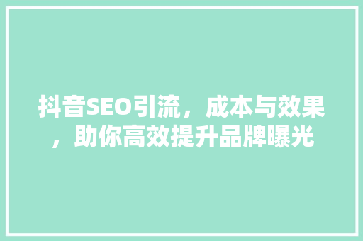 抖音SEO引流，成本与效果，助你高效提升品牌曝光