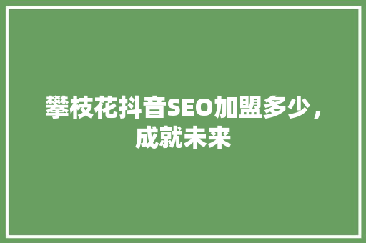 攀枝花抖音SEO加盟多少，成就未来