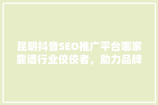昆明抖音SEO推广平台哪家靠谱行业佼佼者，助力品牌腾飞