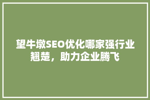 望牛墩SEO优化哪家强行业翘楚，助力企业腾飞