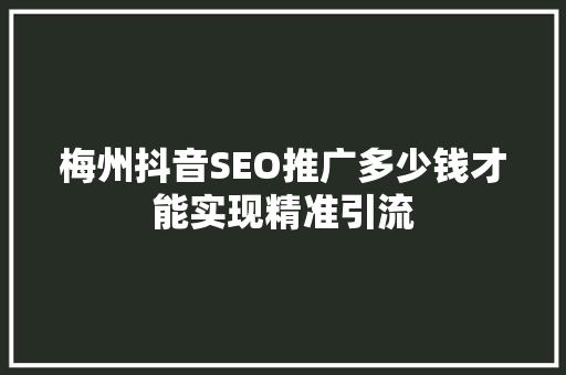 梅州抖音SEO推广多少钱才能实现精准引流