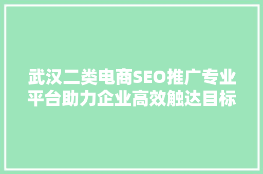 武汉二类电商SEO推广专业平台助力企业高效触达目标客户