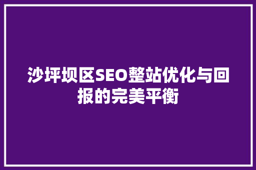 沙坪坝区SEO整站优化与回报的完美平衡