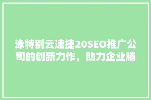 泳特别云速捷20SEO推广公司的创新力作，助力企业腾飞