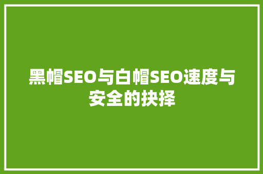黑帽SEO与白帽SEO速度与安全的抉择