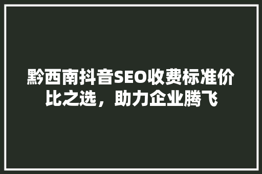 黔西南抖音SEO收费标准价比之选，助力企业腾飞