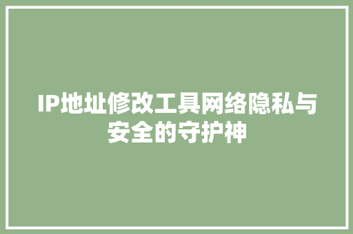 IP地址修改工具网络隐私与安全的守护神