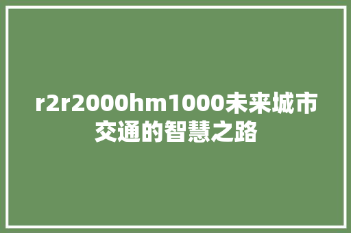 r2r2000hm1000未来城市交通的智慧之路