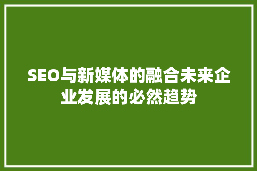 SEO与新媒体的融合未来企业发展的必然趋势