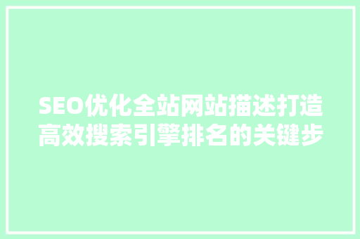 SEO优化全站网站描述打造高效搜索引擎排名的关键步骤