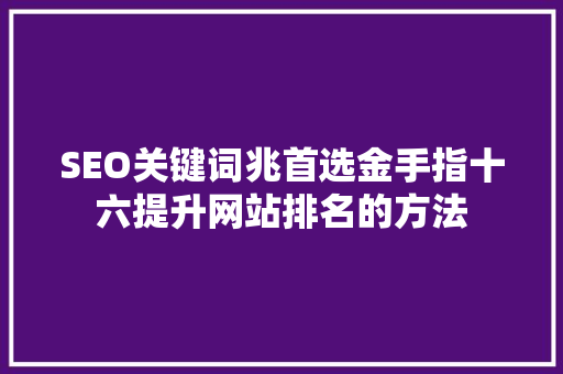 SEO关键词兆首选金手指十六提升网站排名的方法  第1张