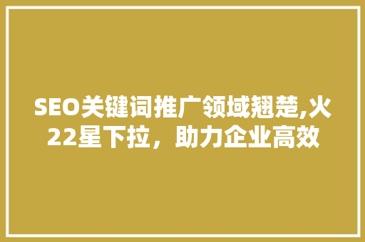 SEO关键词推广领域翘楚,火22星下拉，助力企业高效触达目标用户