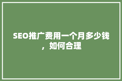 SEO推广费用一个月多少钱，如何合理  第1张