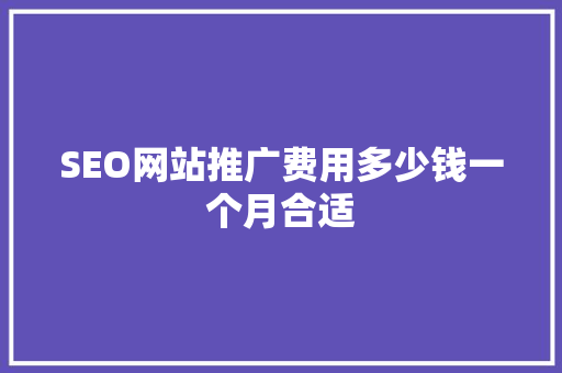 SEO网站推广费用多少钱一个月合适  第1张
