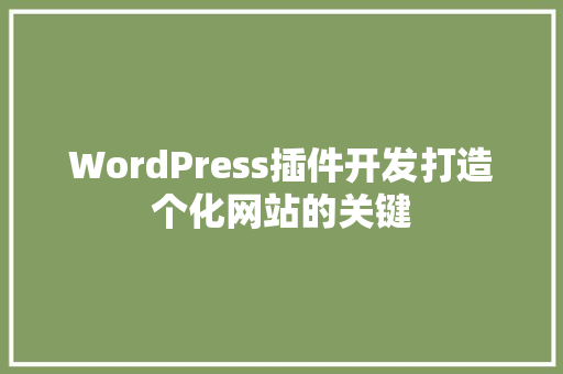 WordPress插件开发打造个化网站的关键