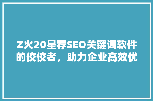 Z火20星荐SEO关键词软件的佼佼者，助力企业高效优化