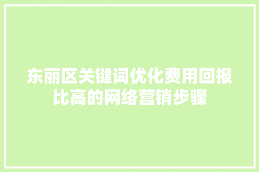 东丽区关键词优化费用回报比高的网络营销步骤