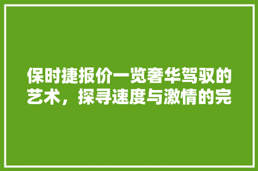 保时捷报价一览奢华驾驭的艺术，探寻速度与激情的完美融合