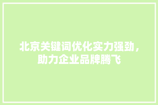 北京关键词优化实力强劲，助力企业品牌腾飞