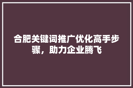 合肥关键词推广优化高手步骤，助力企业腾飞