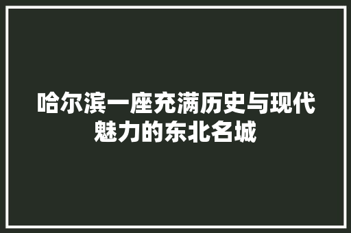 哈尔滨一座充满历史与现代魅力的东北名城