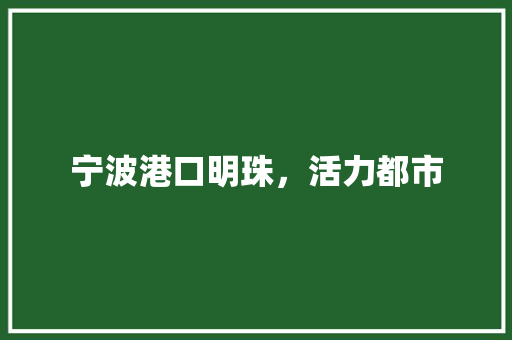 宁波港口明珠，活力都市