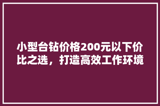 小型台钻价格200元以下价比之选，打造高效工作环境