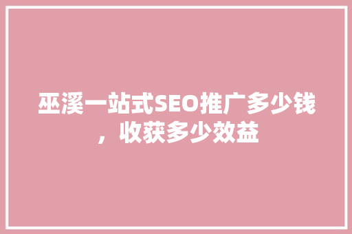 巫溪一站式SEO推广多少钱，收获多少效益