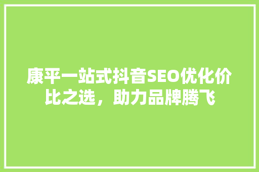 康平一站式抖音SEO优化价比之选，助力品牌腾飞