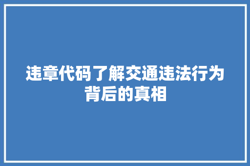 违章代码了解交通违法行为背后的真相