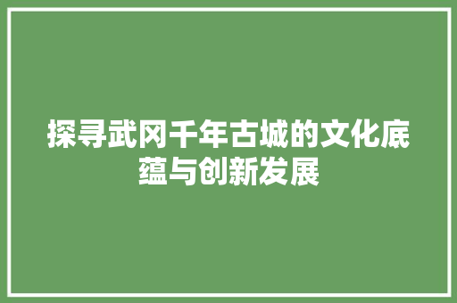 探寻武冈千年古城的文化底蕴与创新发展
