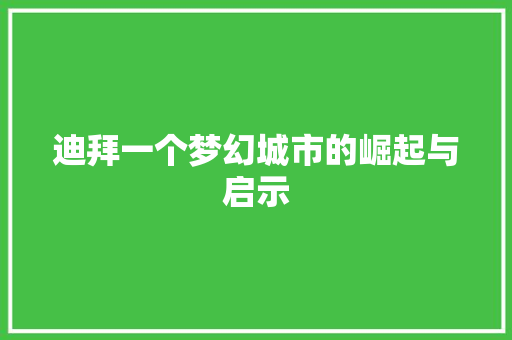 迪拜一个梦幻城市的崛起与启示