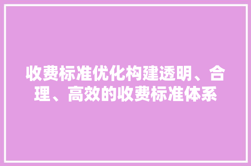 收费标准优化构建透明、合理、高效的收费标准体系
