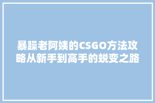 暴躁老阿姨的CSGO方法攻略从新手到高手的蜕变之路