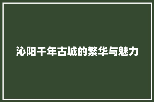 沁阳千年古城的繁华与魅力