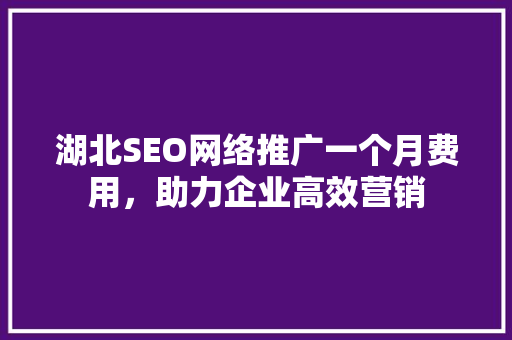 湖北SEO网络推广一个月费用，助力企业高效营销