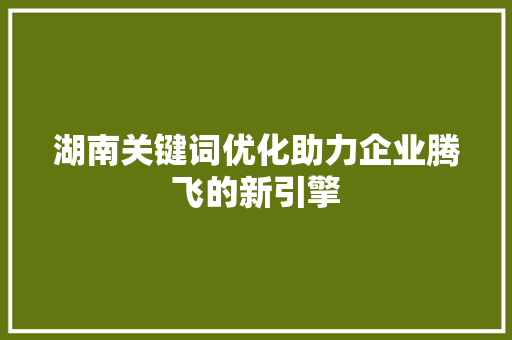 湖南关键词优化助力企业腾飞的新引擎