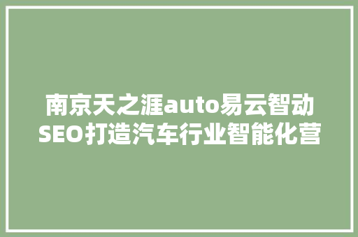 南京天之涯auto易云智动SEO打造汽车行业智能化营销新格局