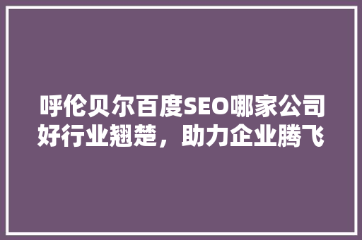 呼伦贝尔百度SEO哪家公司好行业翘楚，助力企业腾飞