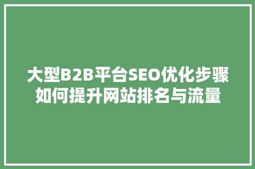 大型B2B平台SEO优化步骤如何提升网站排名与流量